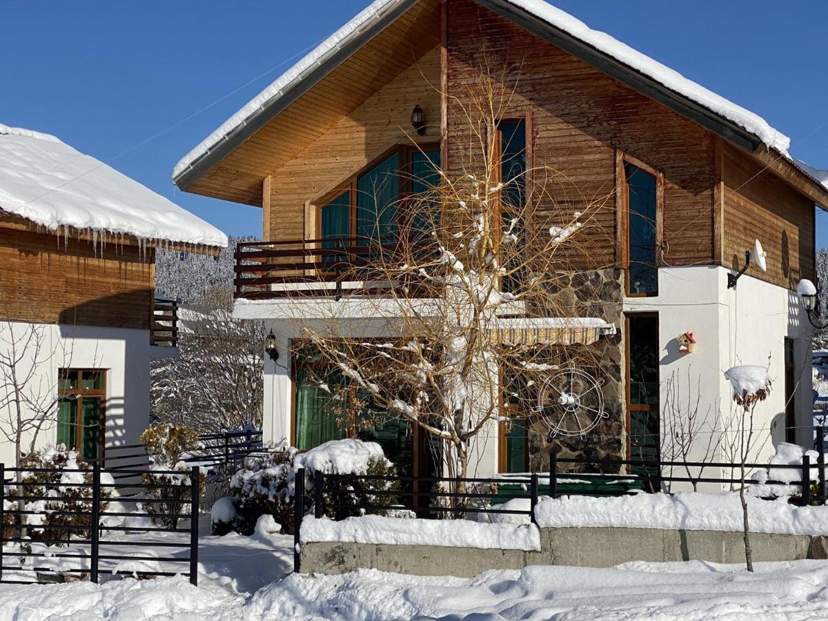 Villa Sun Valley Bakuriani Zewnętrze zdjęcie