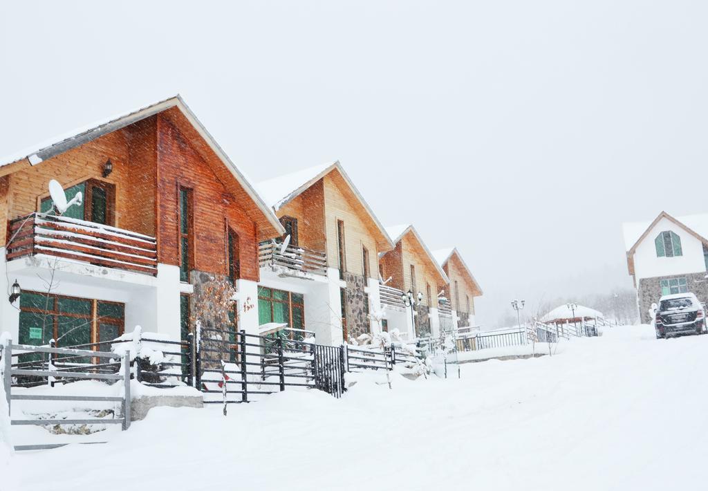 Villa Sun Valley Bakuriani Zewnętrze zdjęcie